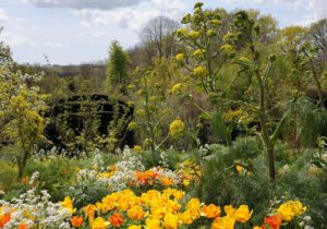 8-Tage-Gartenreise nach Cornwall mit Devon (Dartmoor), Exeter und Südostengland