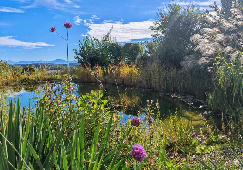 Gartenreise Österreich – Wien / Wachau